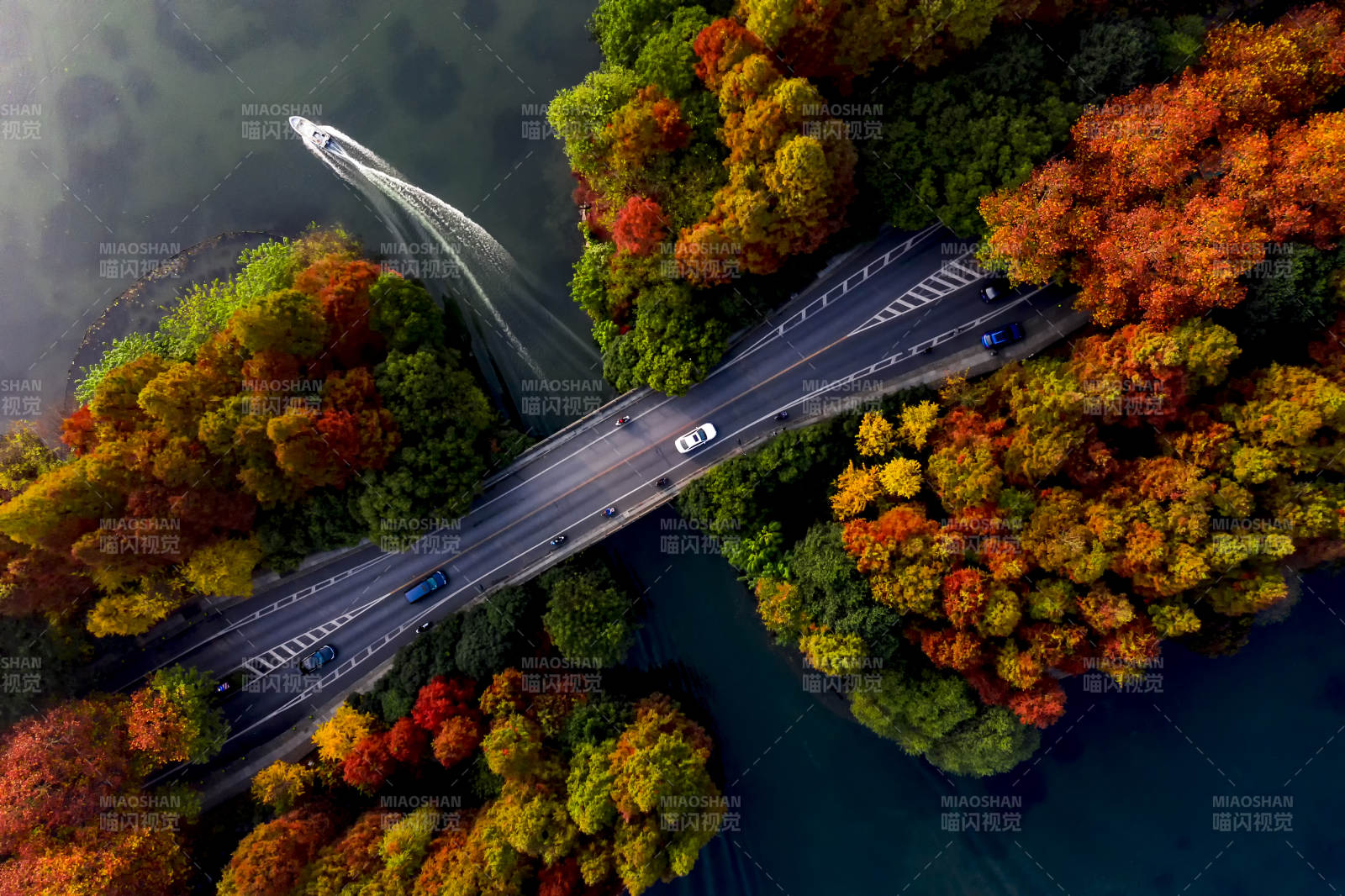 秋色桥景 车行如画图片