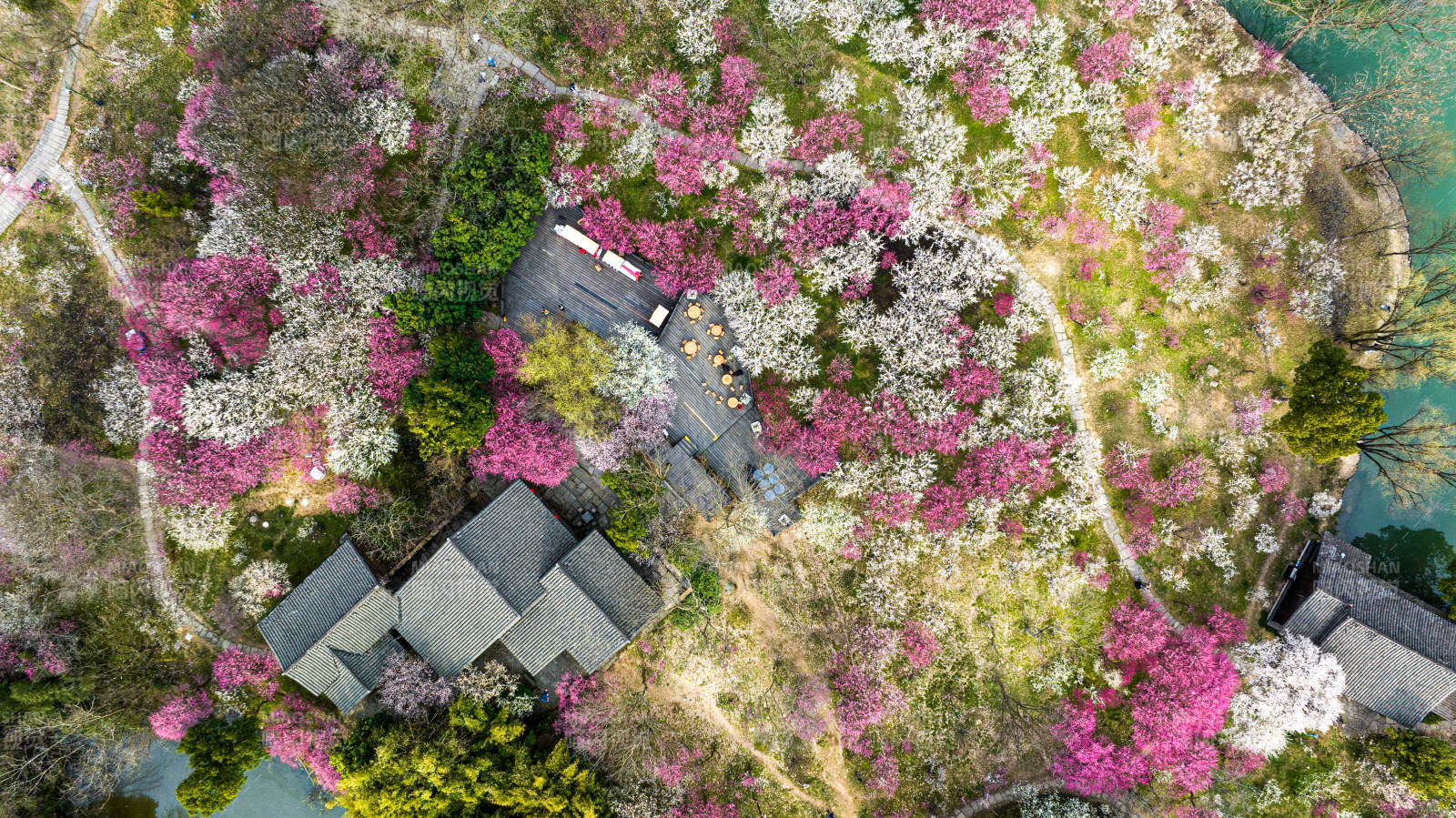 春日山间花海古宅图图片