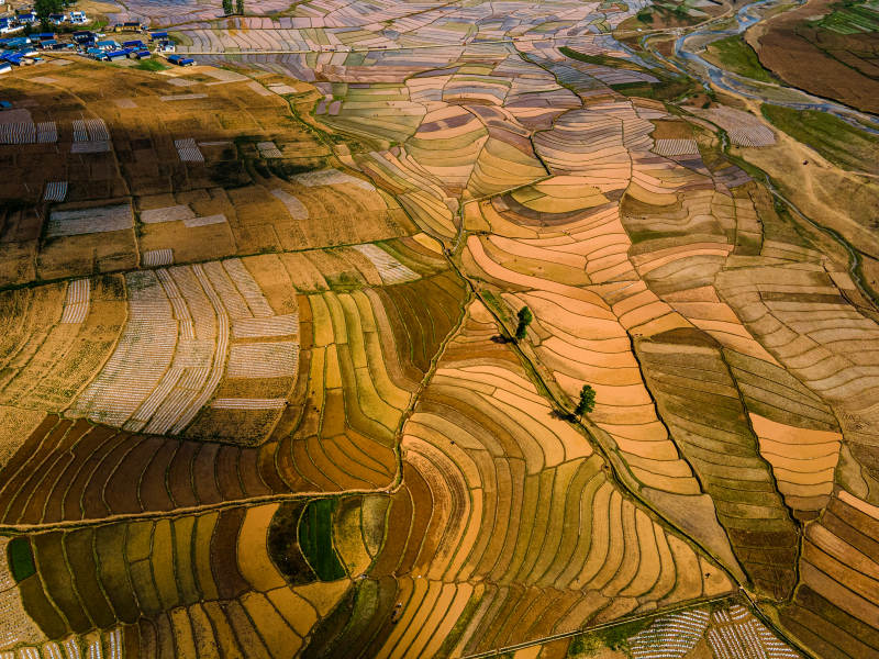 梯田艺术 大地的画卷图片