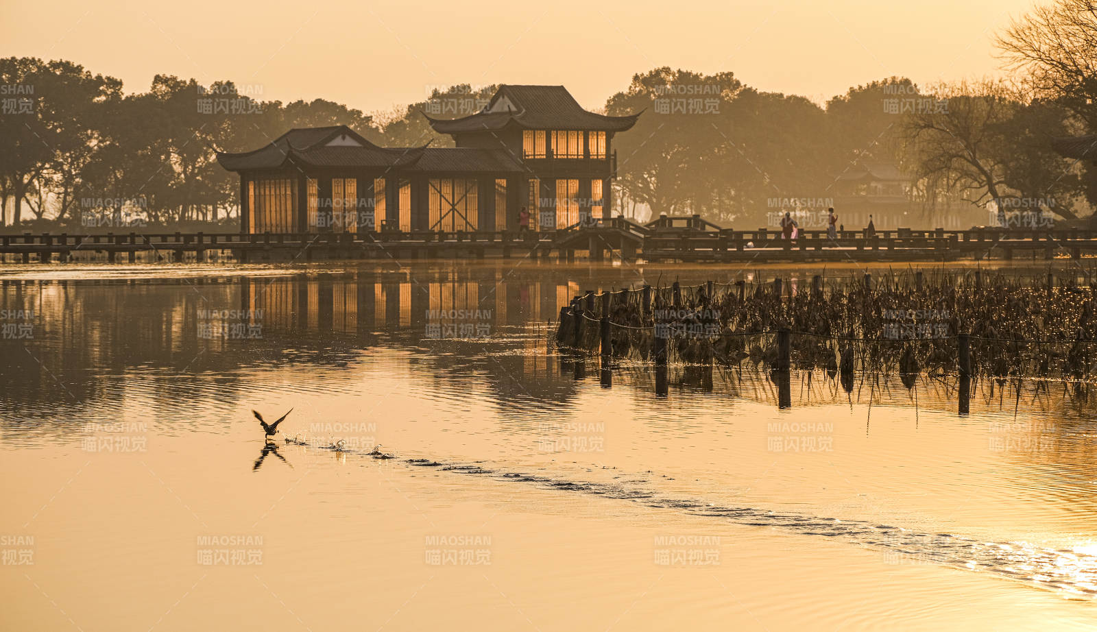 湖畔亭台夕阳飞鸟图图片