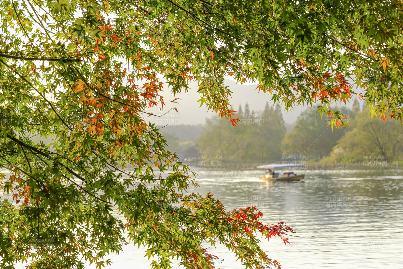 秋叶映湖 小舟悠然图片