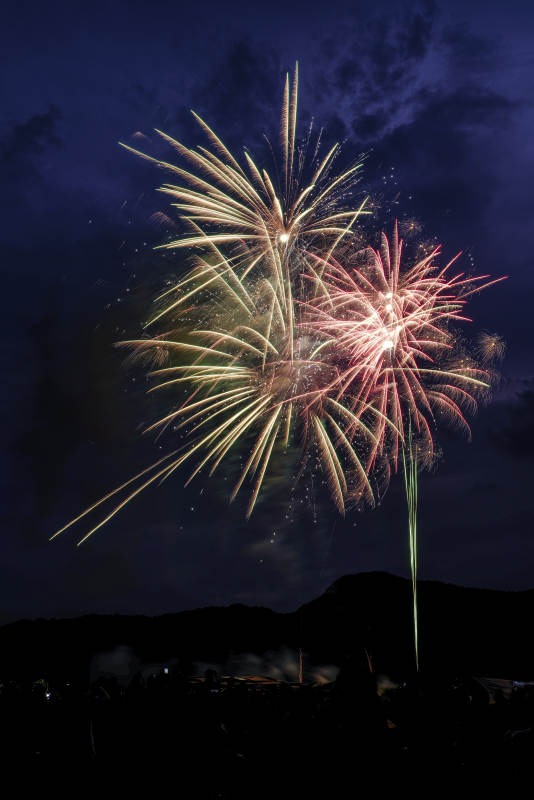 夜空中的绚丽烟花图片