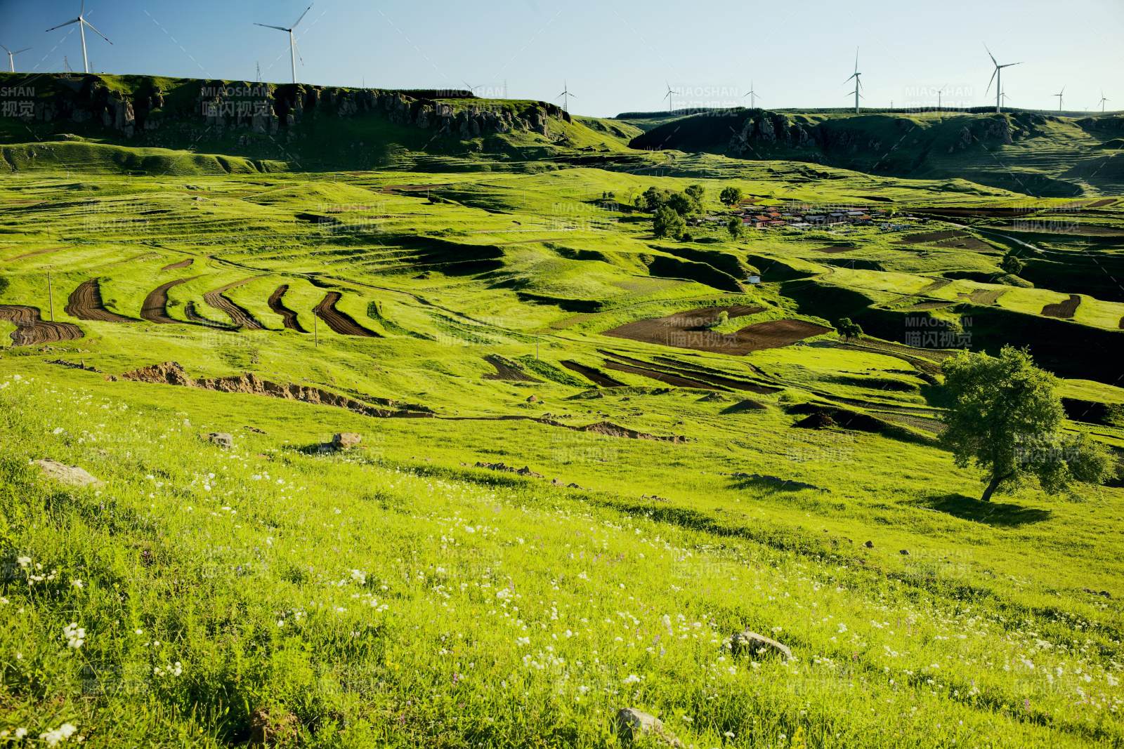 河北蔚县西刑岭村风车与梯田的和谐景象图片