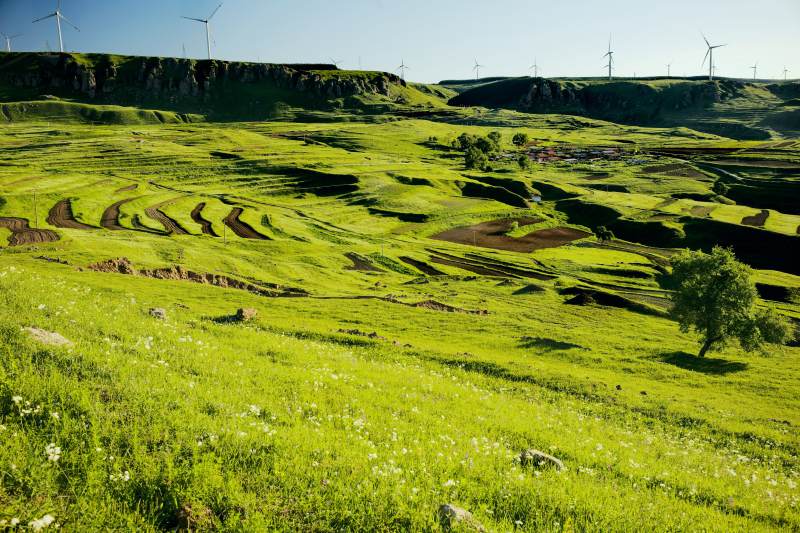 河北蔚县西刑岭村风车与梯田的和谐景象图片