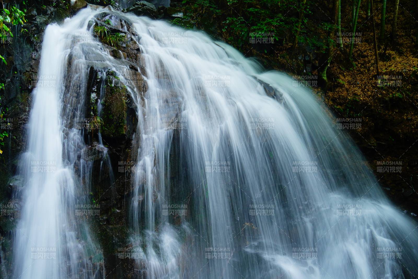 森林中的瀑布美景图片