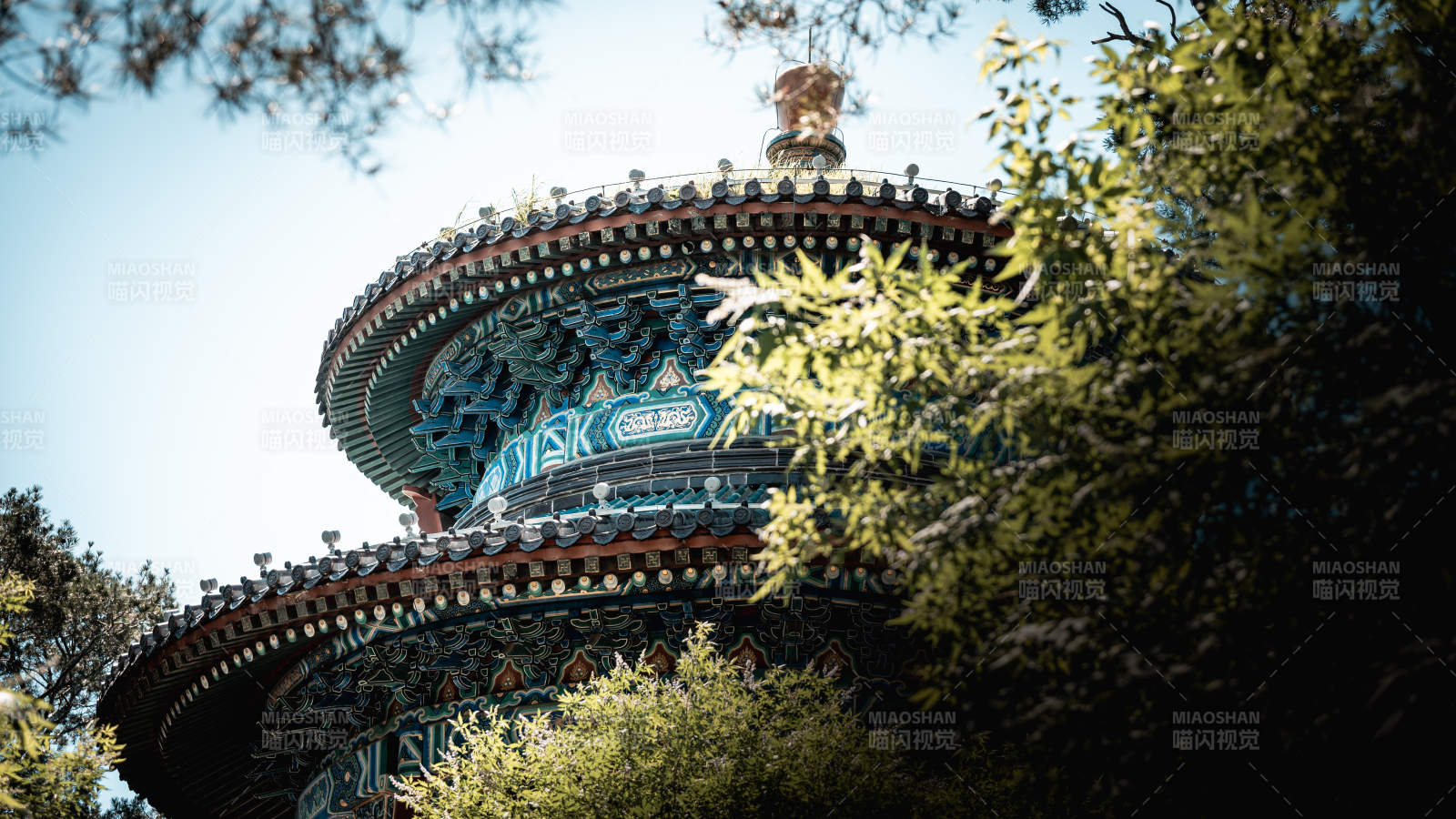 景山公园古塔绿荫映蓝天图片