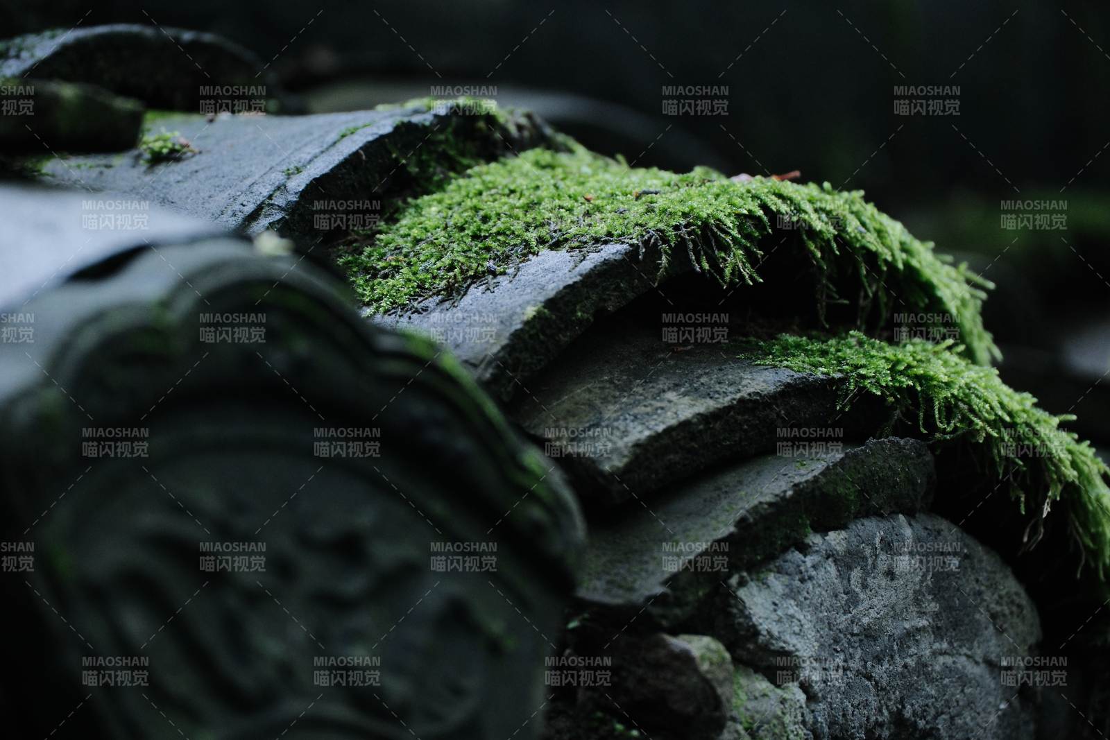 青苔覆盖的古老瓦片图片