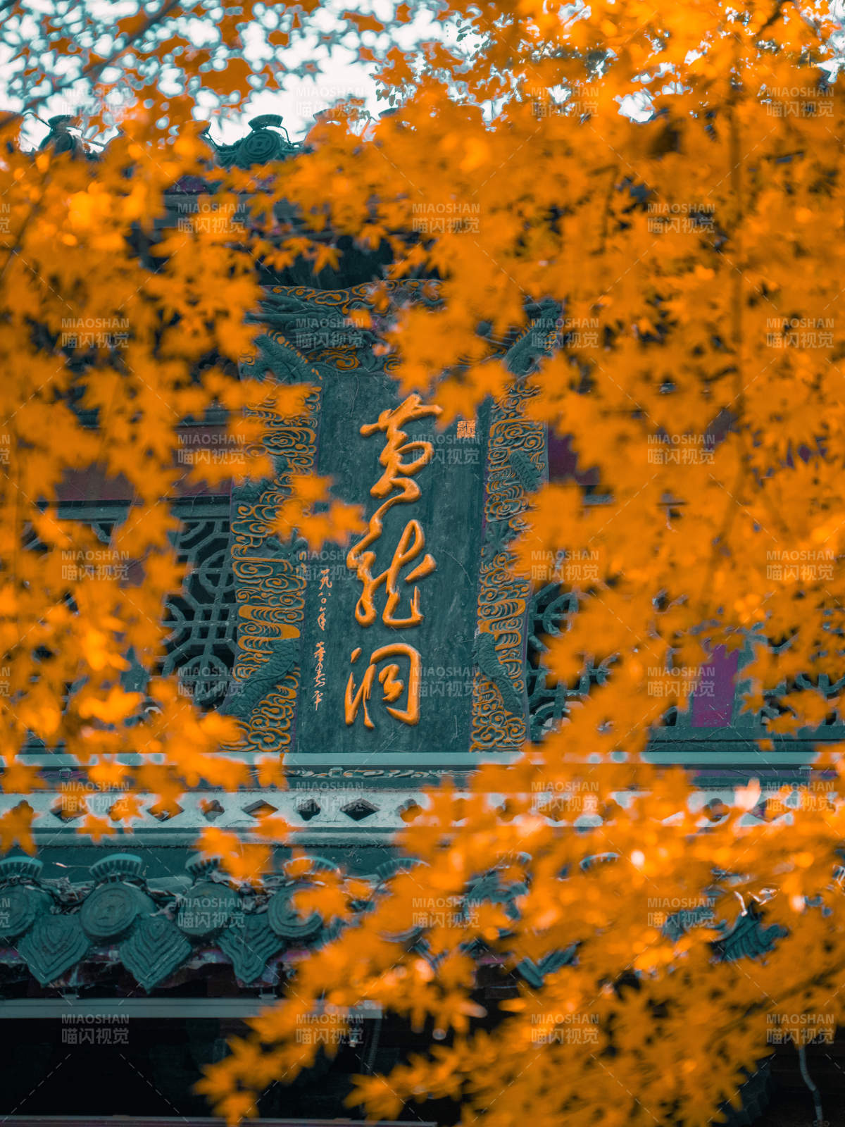 杭州宝石山下黄龙洞图片