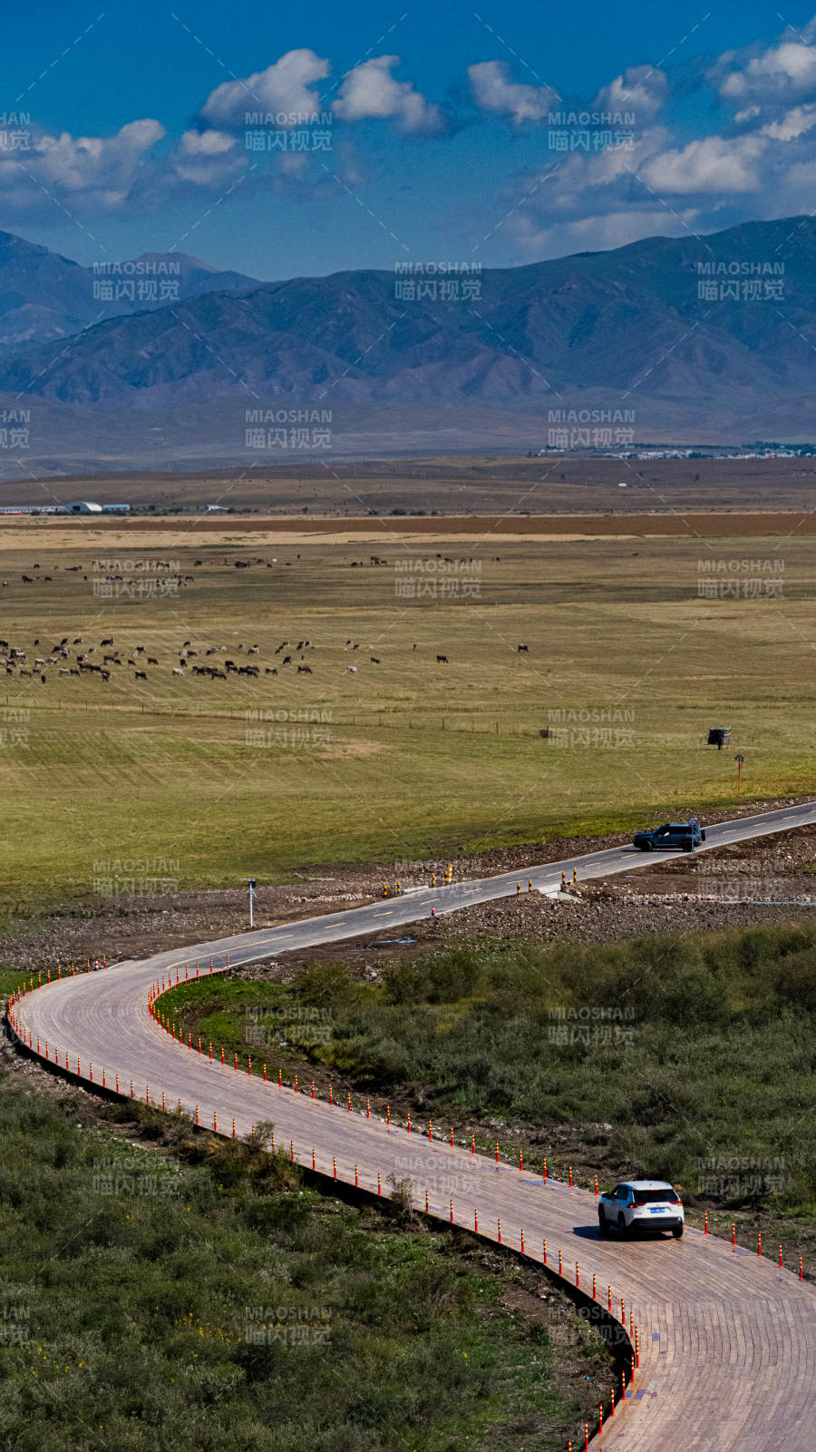 新疆 草原公路 蜿蜒通向远方图片