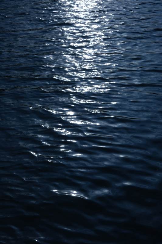 波光粼粼的水面图片