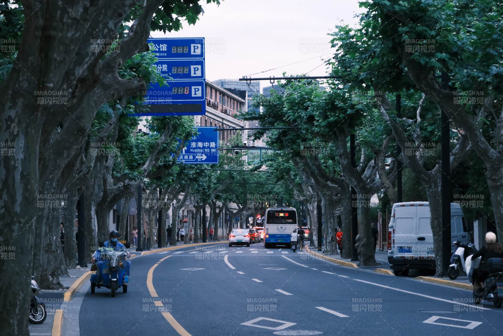 城市绿荫下的街道景象图片