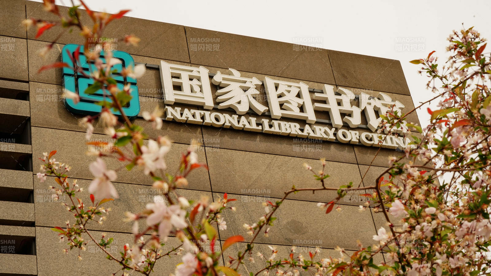 国家图书馆春日景象图片