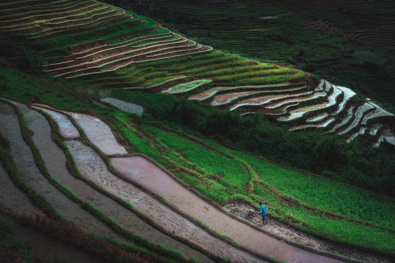 梯田上的宁静时光--龙脊梯田图片