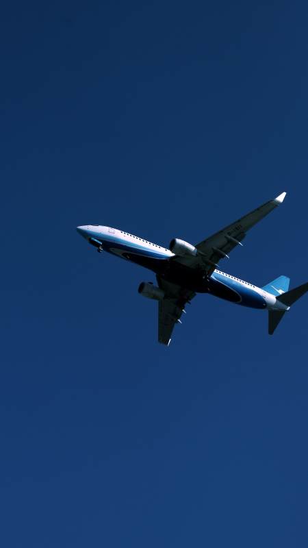 蓝天下的飞行瞬间图片