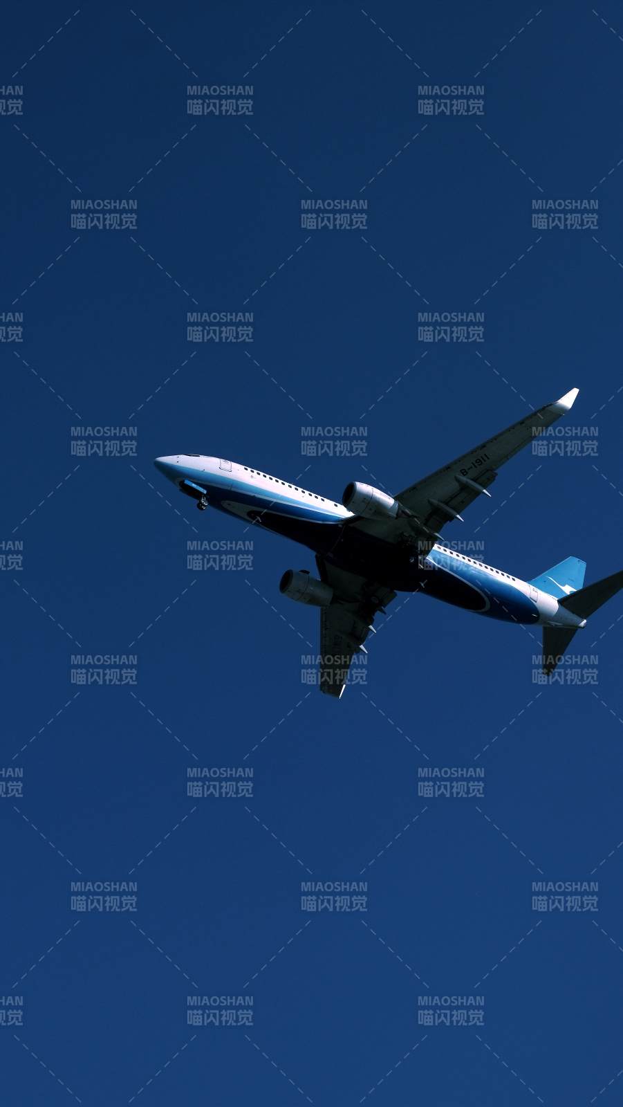 蓝天下的飞行瞬间图片