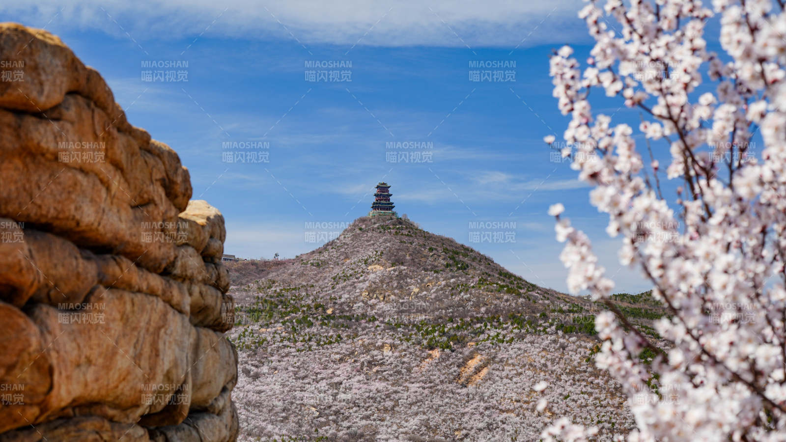 山巅古塔（北京定都阁） 春花烂漫图片
