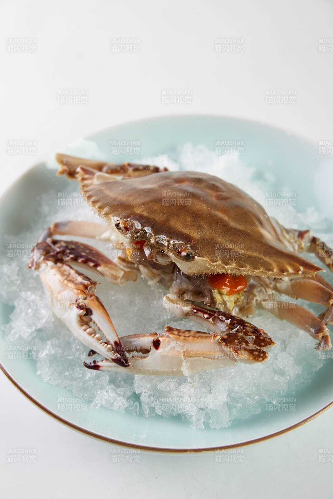 冰镇梭子蟹 鲜美诱人图片