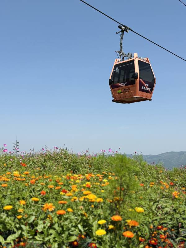 崇礼太舞小镇 花海缆车 蓝天下的美景图片