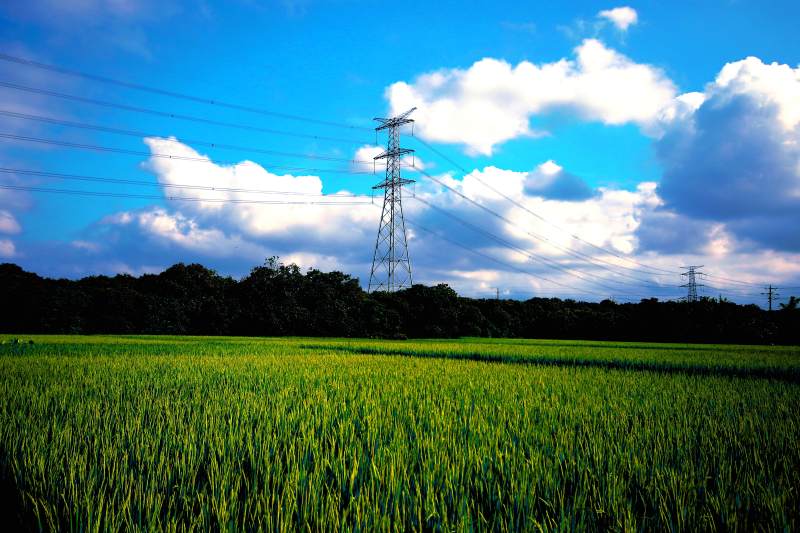 田野上的电力塔图片