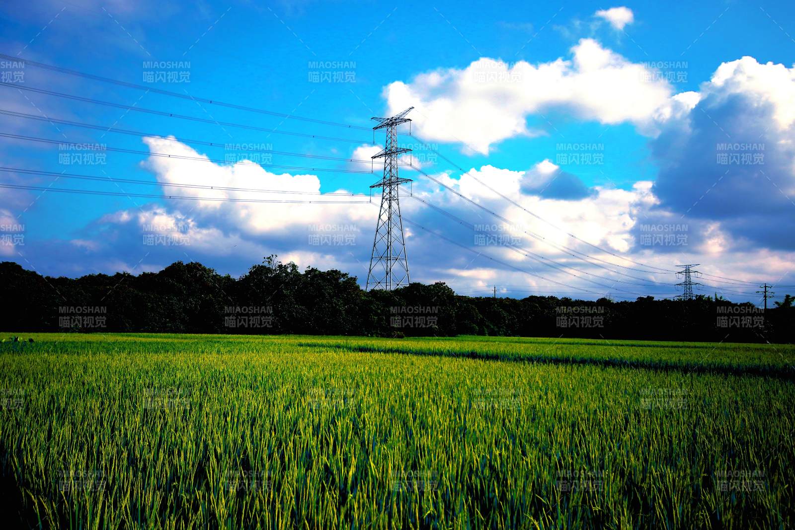 田野上的电力塔图片