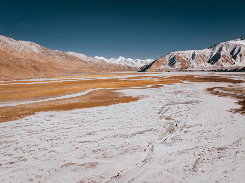 雪山下的金色平原图片