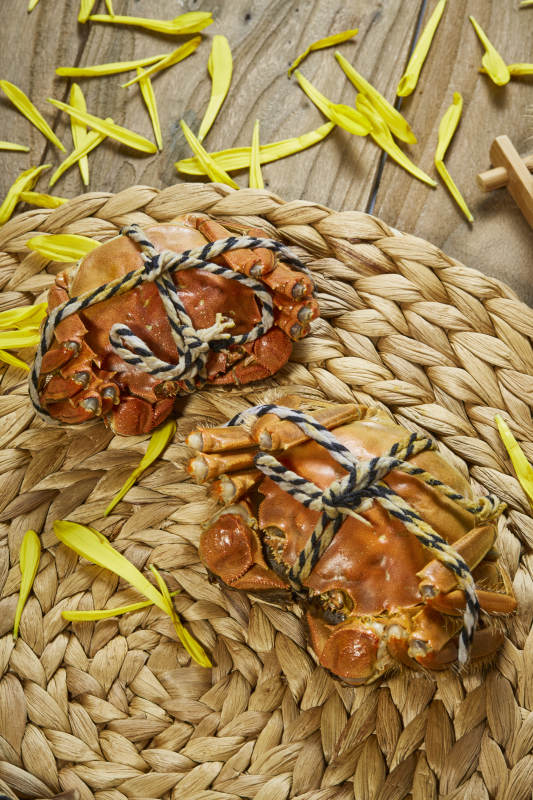 秋日蟹宴 金菊相伴图片