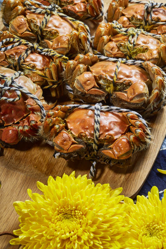 大闸蟹与菊花的秋日盛宴图片