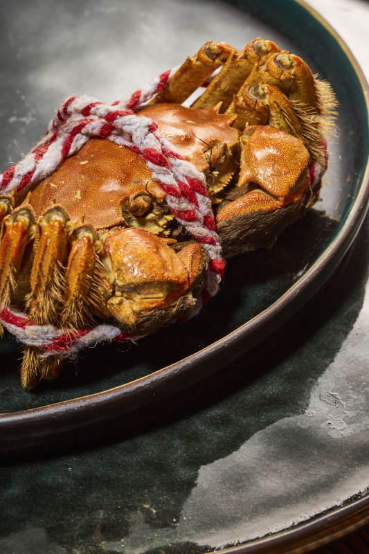 红绳捆绑的大闸蟹图片