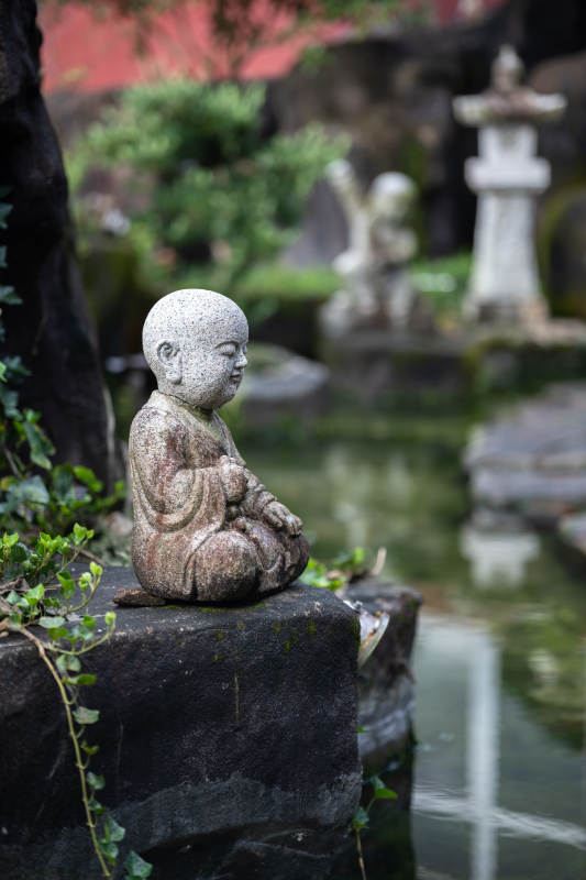 静谧佛像 水畔禅意图片