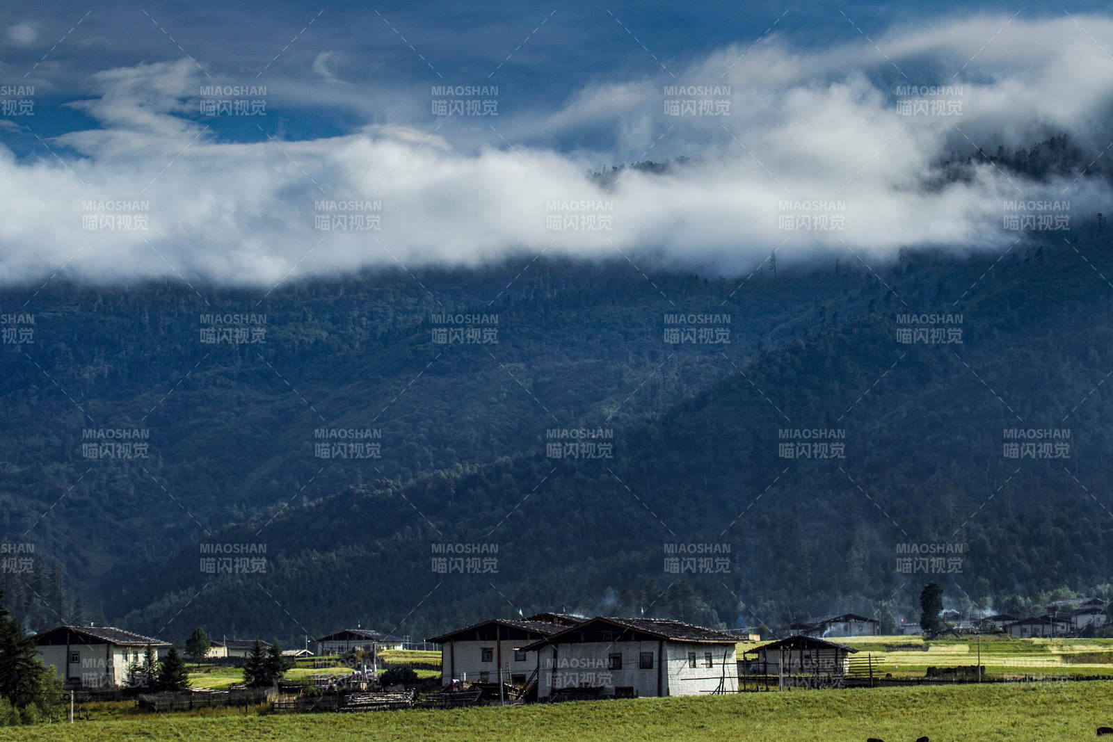 山间云雾缭绕 农舍静谧 (香格里拉)图片