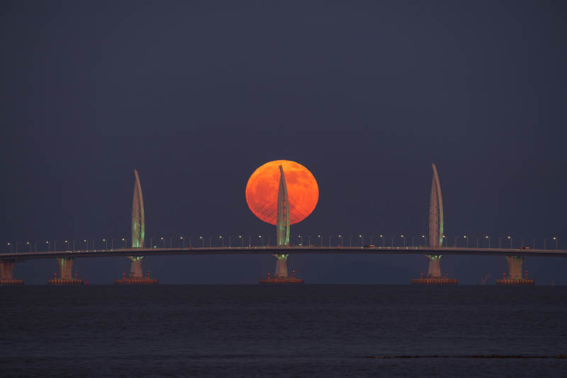 月升港珠澳大桥海豚塔图片