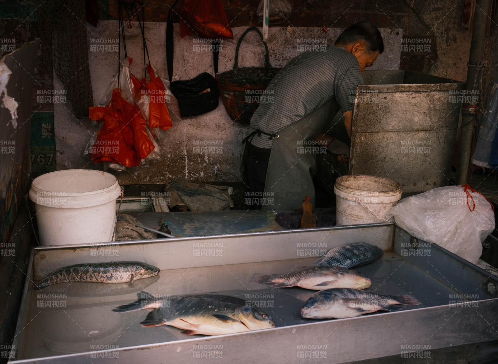 市场鱼摊 商贩忙碌中图片