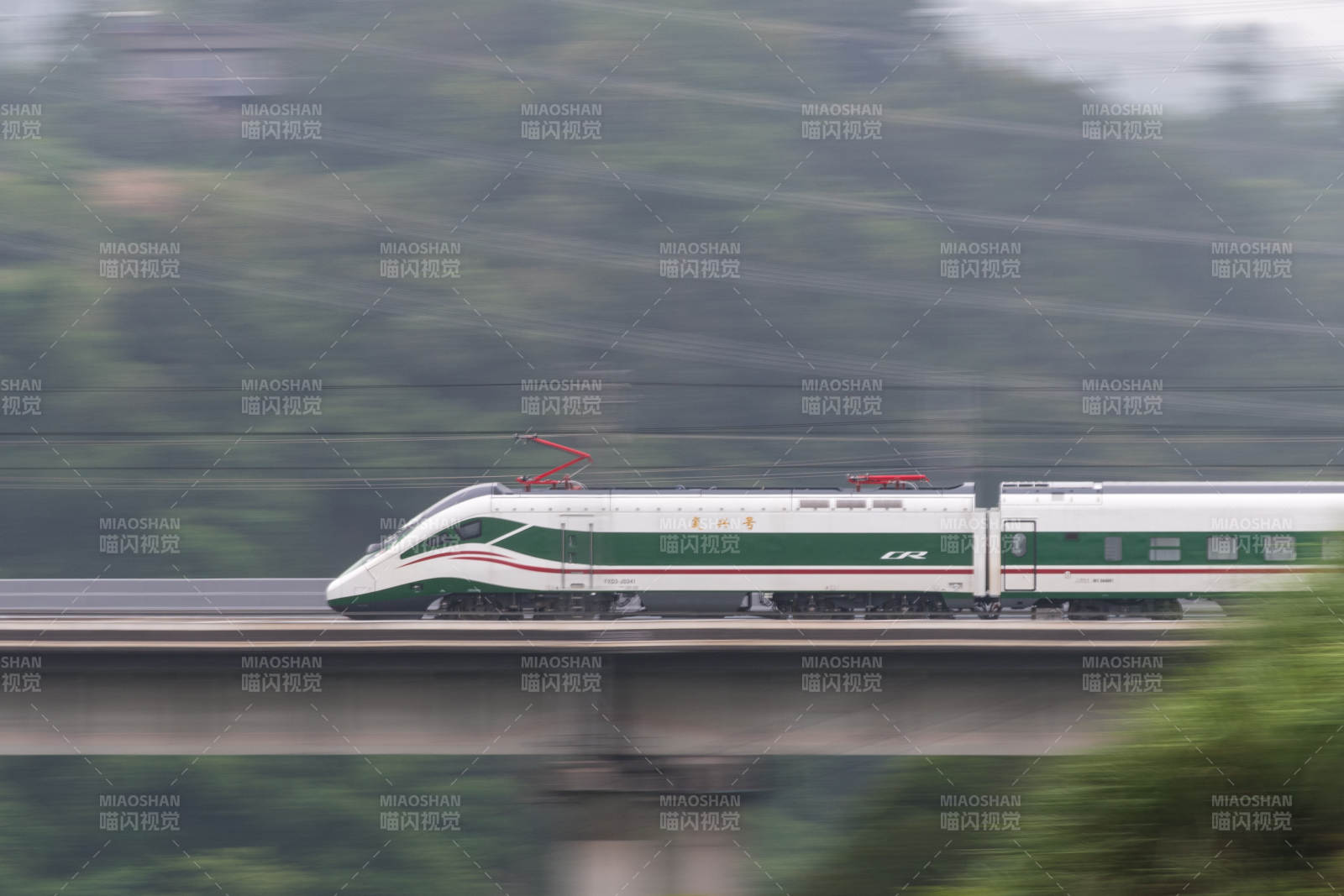 高速列车穿越绿色山林图片