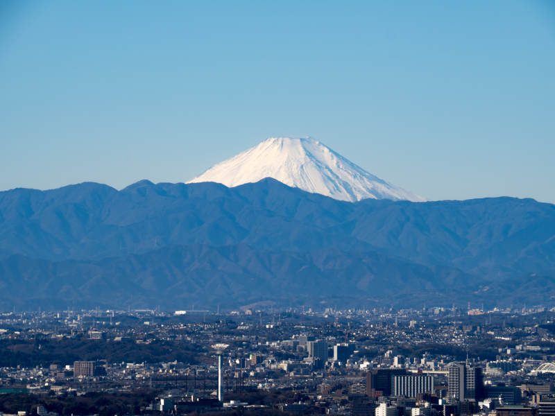 富士山与城市景观图片