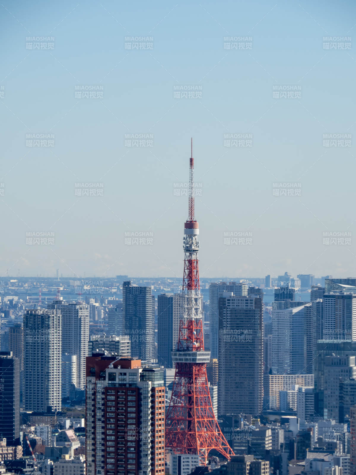 东京塔与城市天际线图片