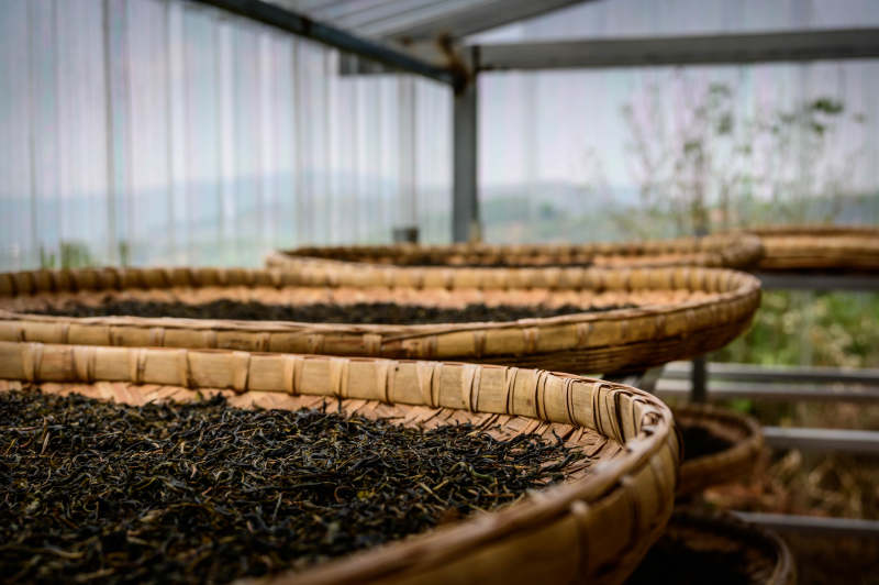 竹筛晾晒茶叶图片