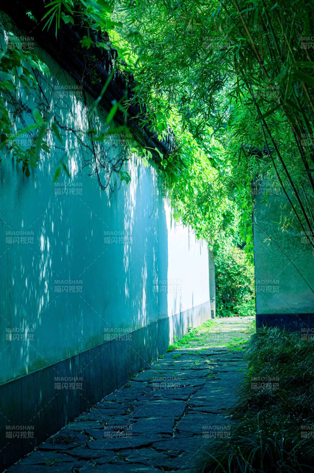竹影幽径 静谧古墙图片