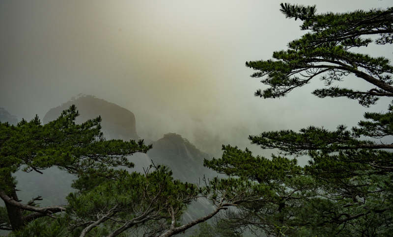 雾中松影 山峦隐现图片