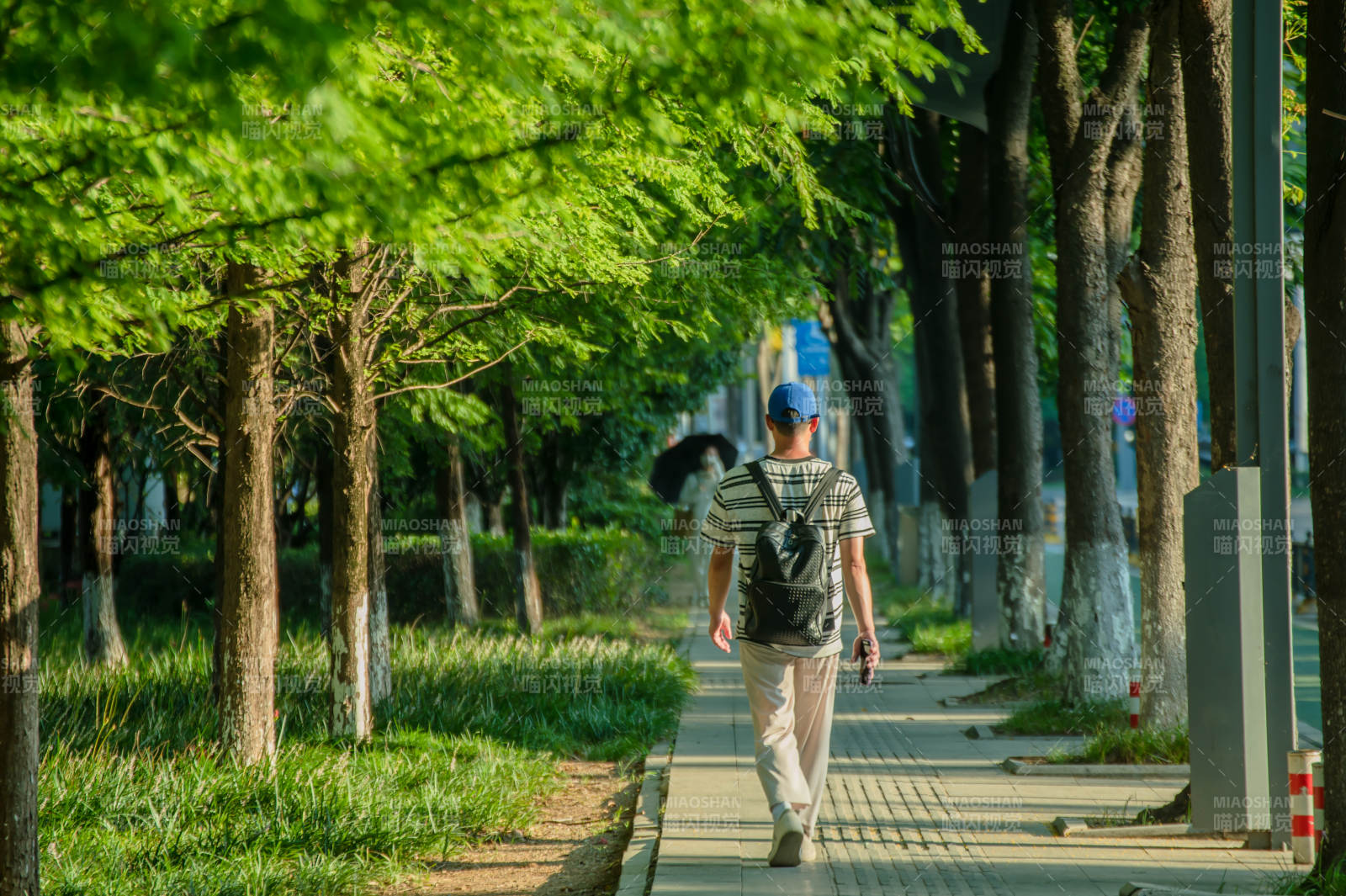 绿荫小径 行人悠然自得图片