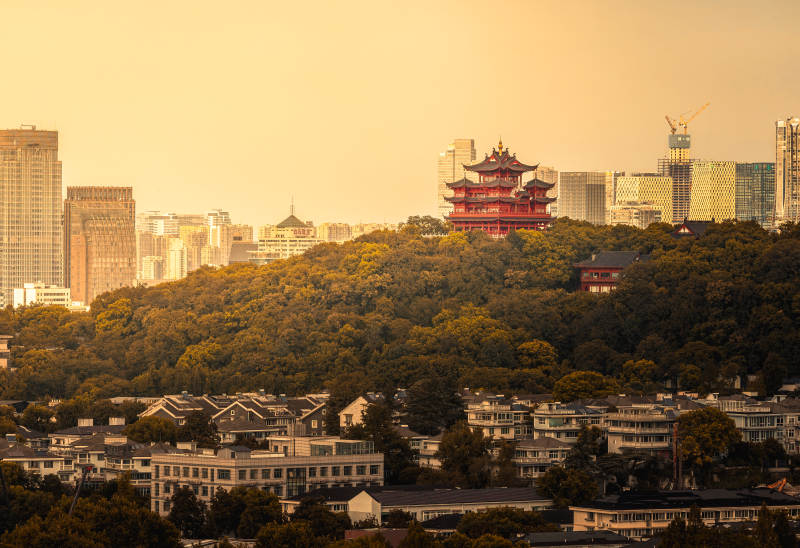 城市山林 古塔映辉 杭州图片