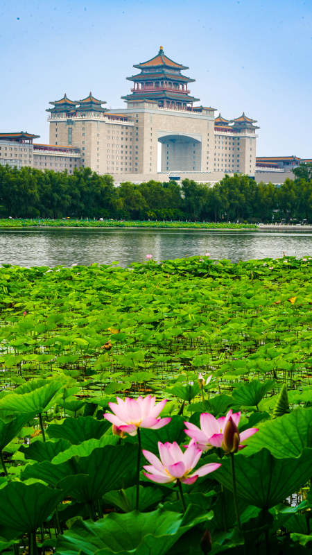北京莲花池公园和北京西客站图片