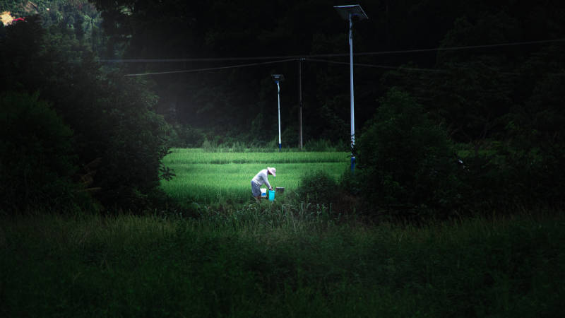 夜色中的田野劳作图片