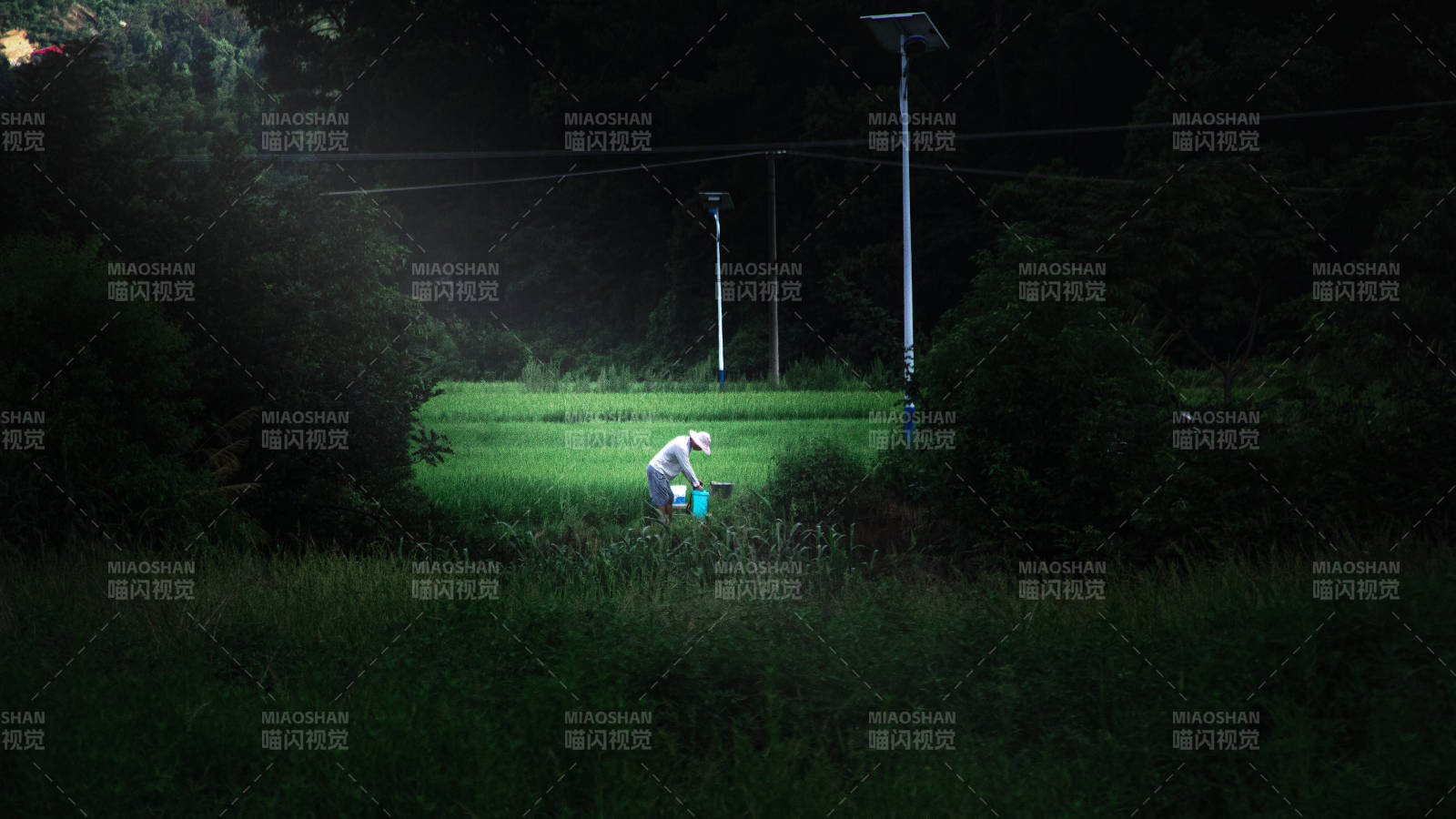 夜色中的田野劳作图片