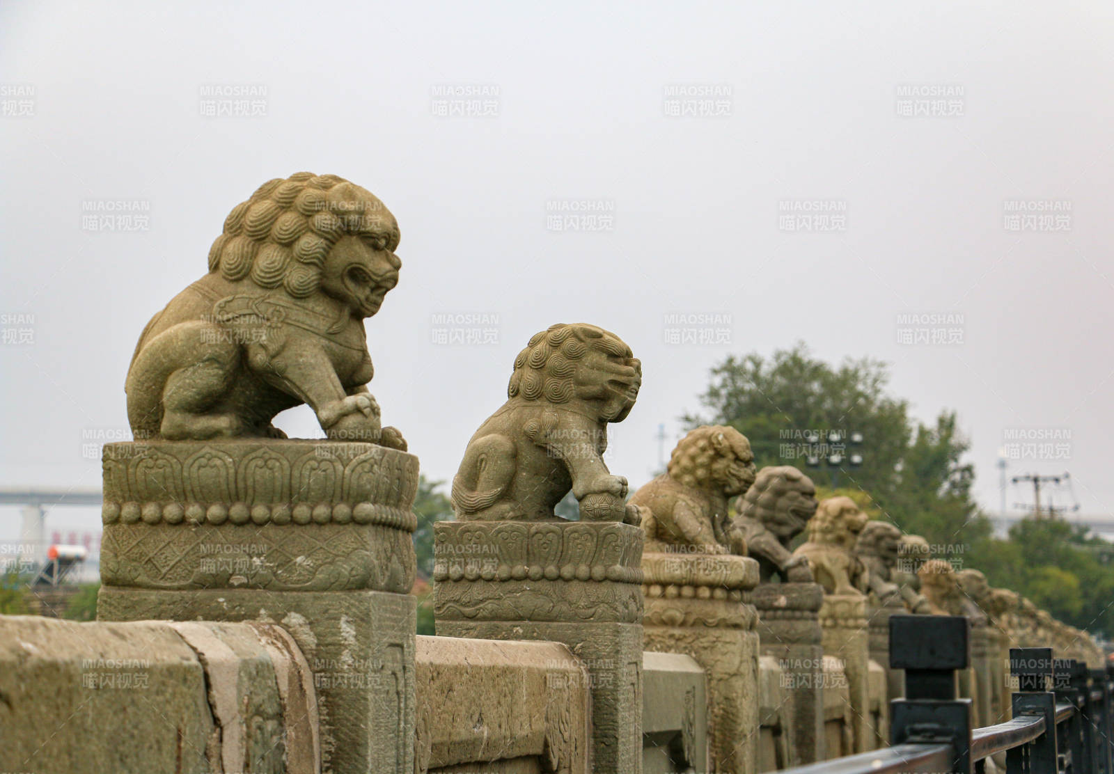 卢沟桥的狮子雕像图片