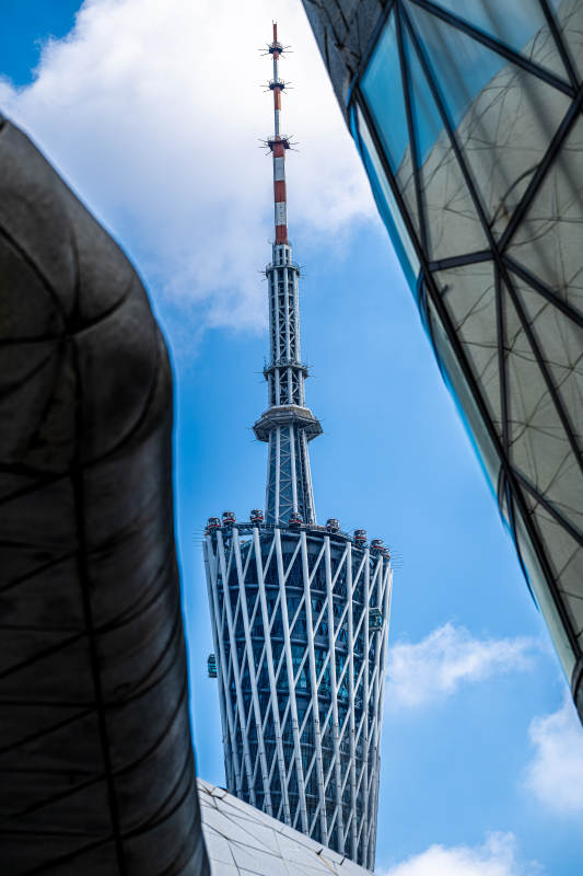 广州塔与现代建筑相映成趣图片