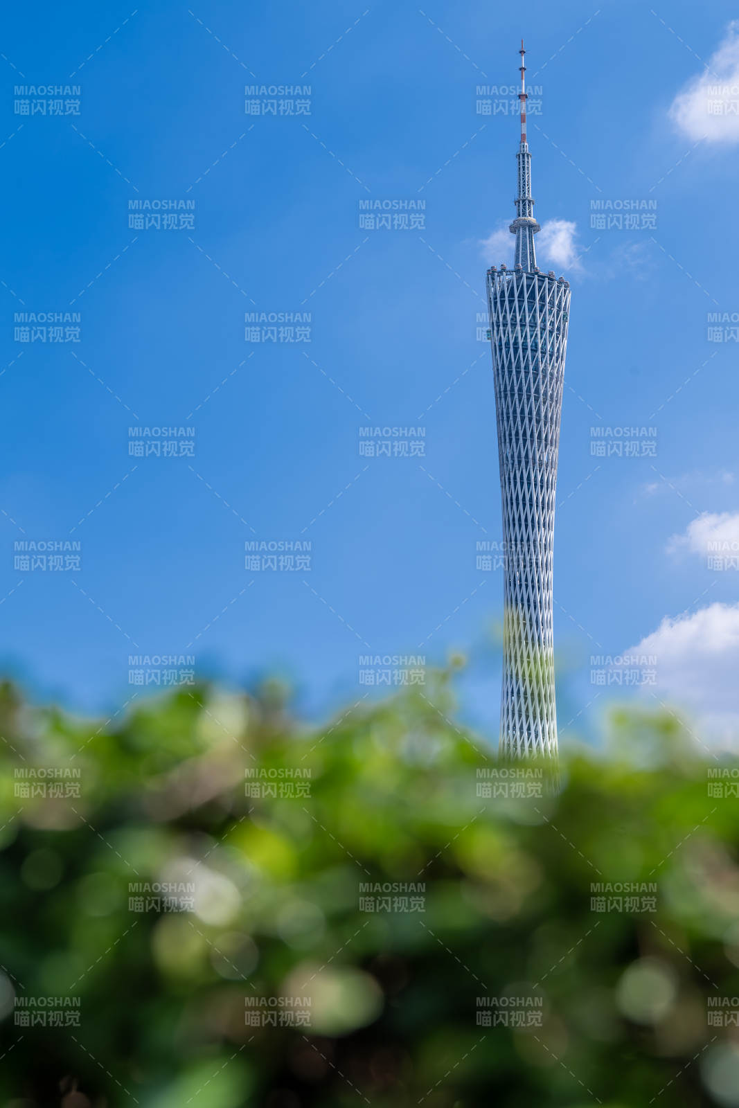 广州塔蓝天绿植映衬图片