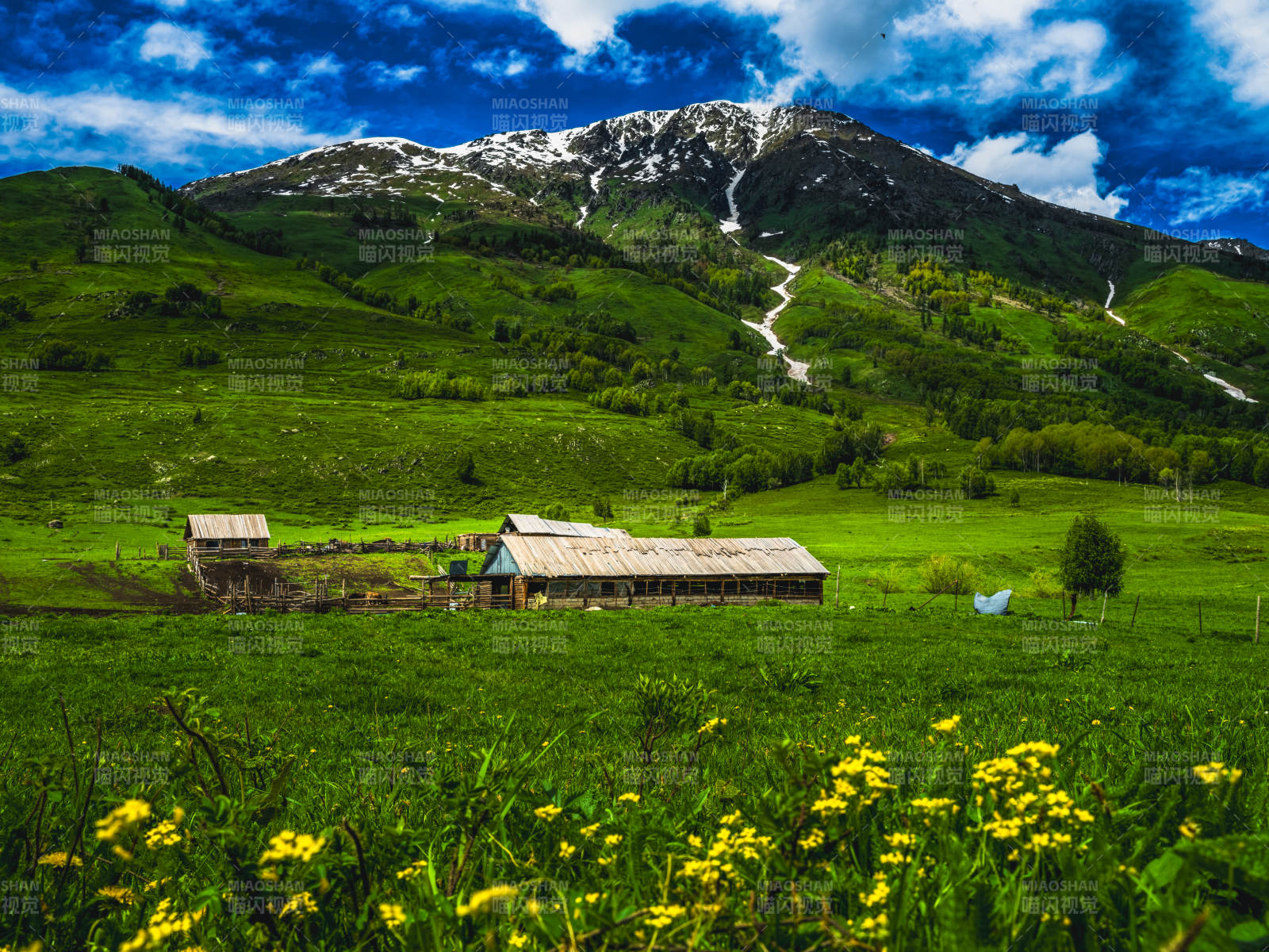 我的阿勒泰图片