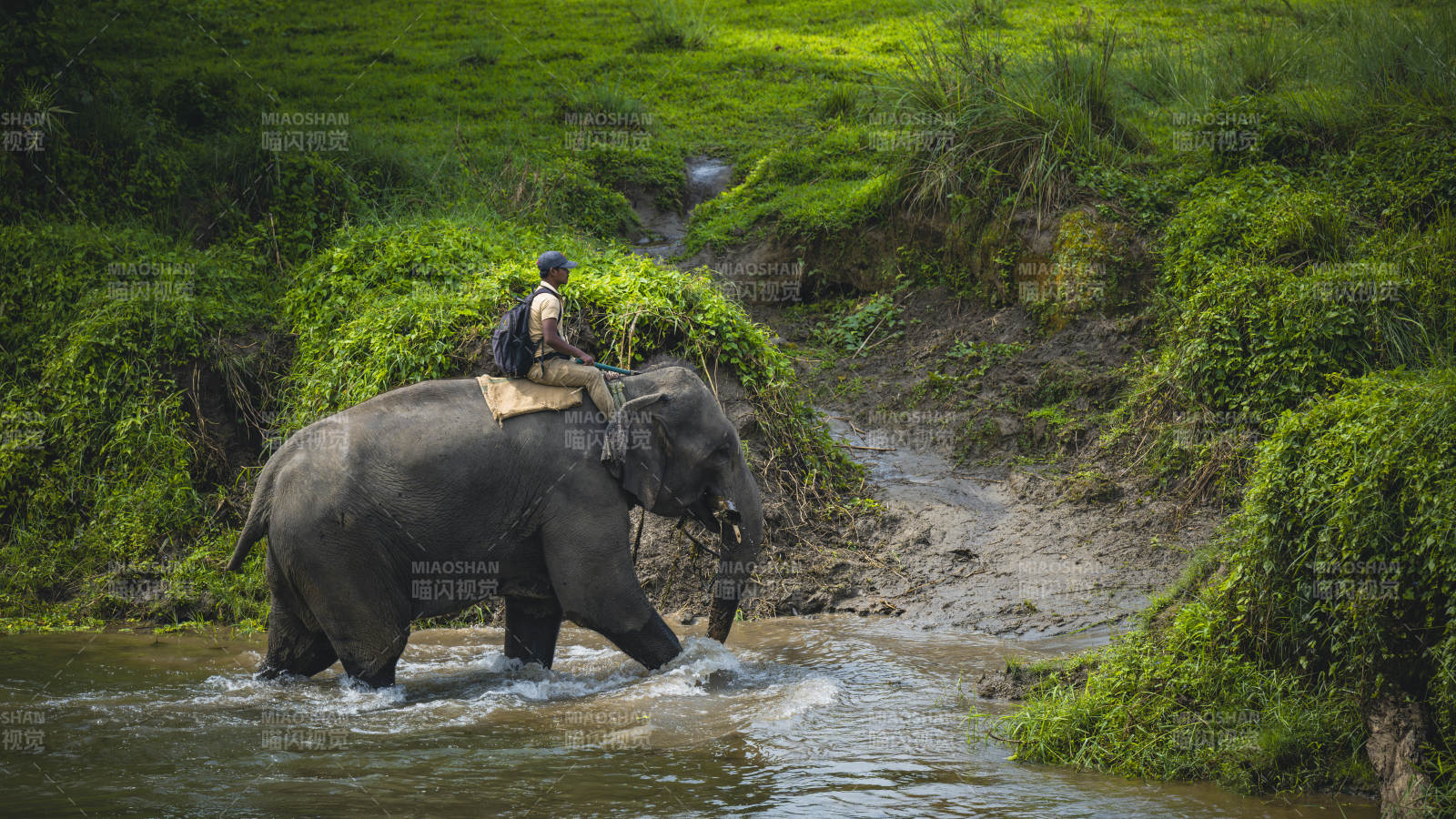 骑象穿越溪流图片