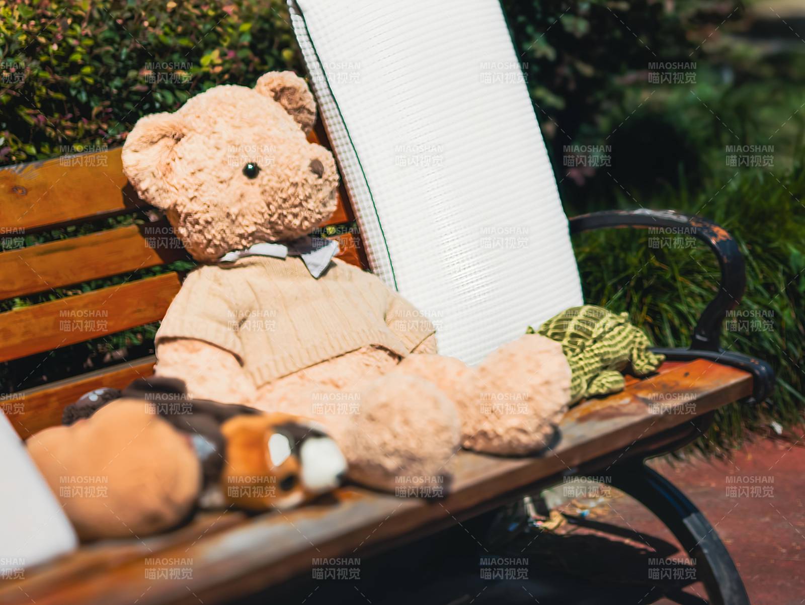 公园长椅上的毛绒玩具熊图片