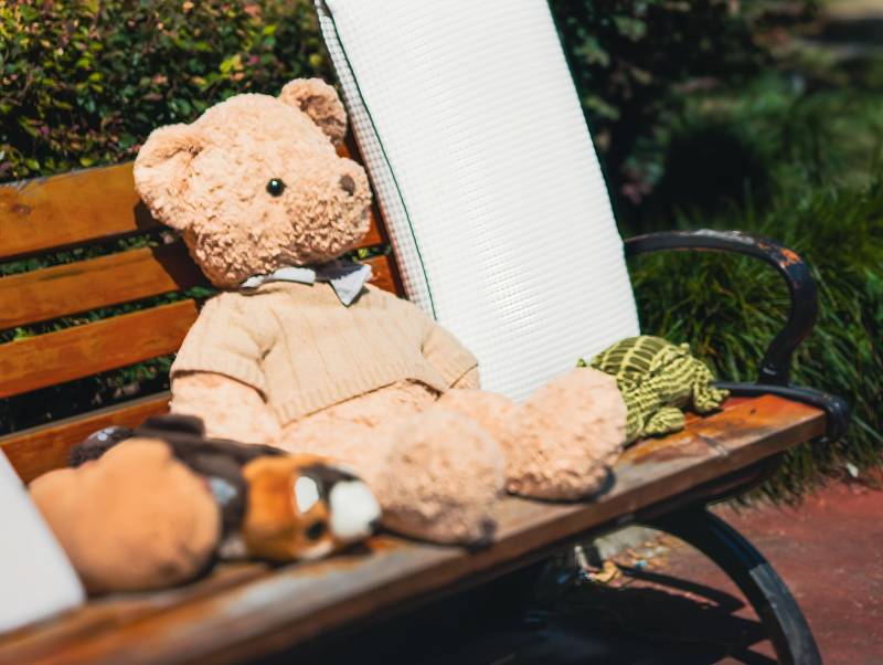 公园长椅上的毛绒玩具熊图片